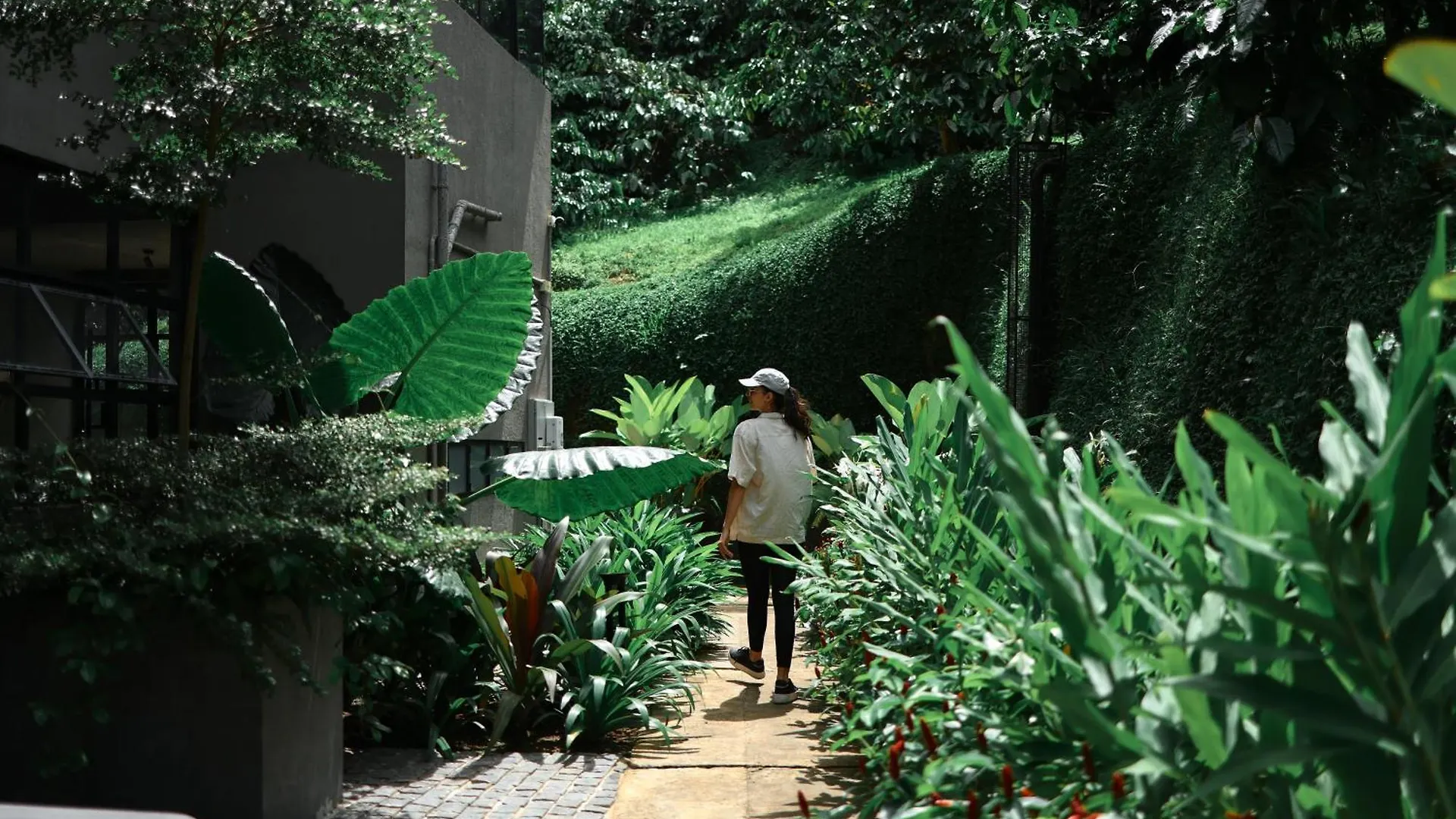 Bhadra - The Estate Villa Wayanad
